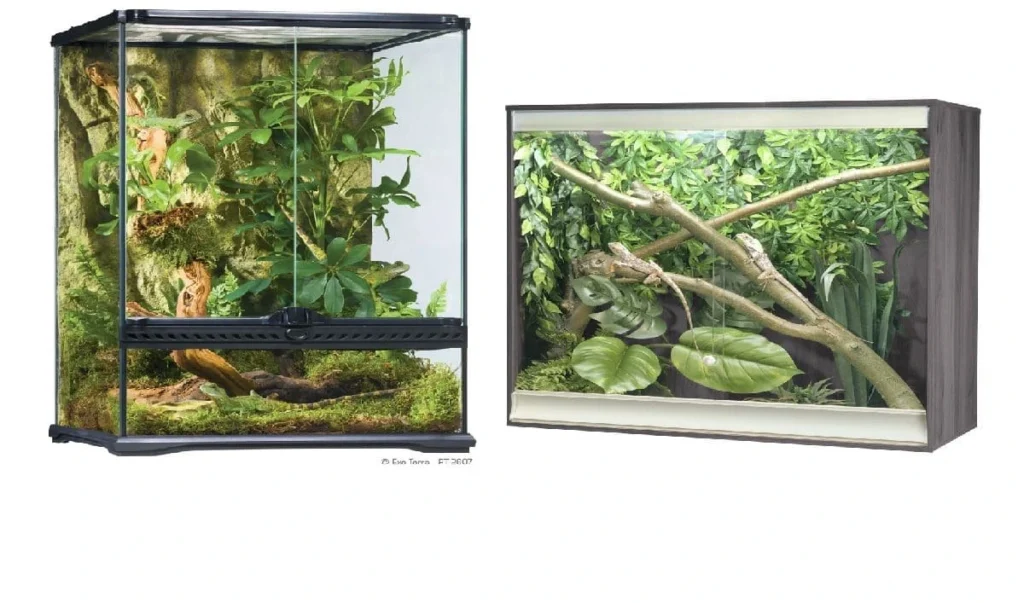 an image of a terrarium vs vivarium